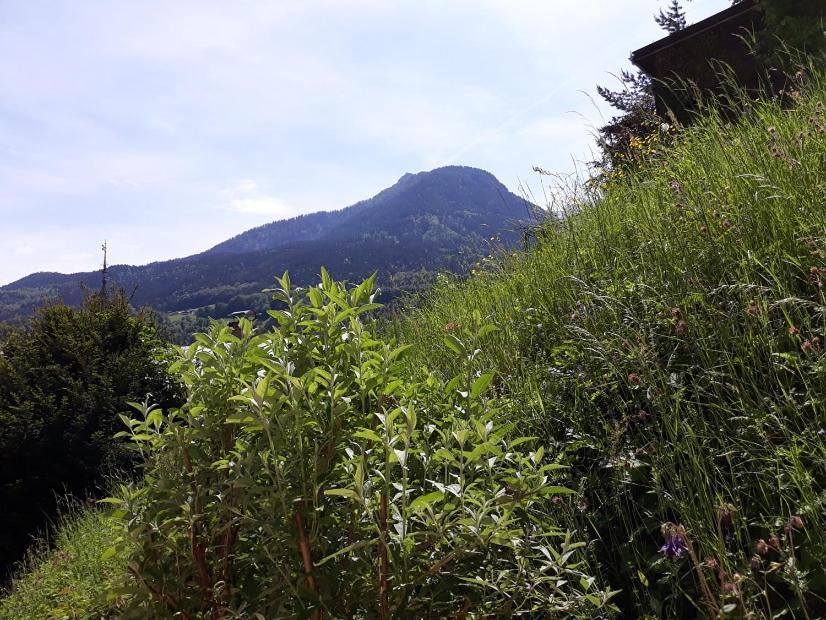 Ferienwohnung Fendt Berchtesgaden Extérieur photo